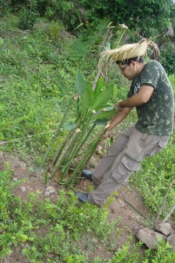 Tempo de Plantar